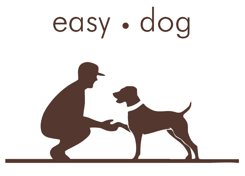 EASY DOG