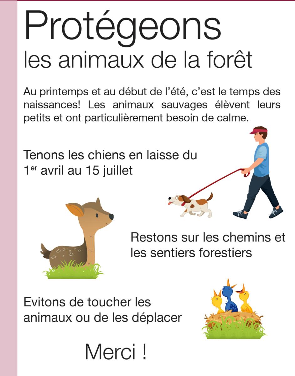 protection_faune_2023
